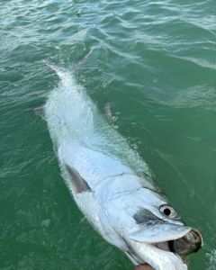 Scenic fishing landscape in CO