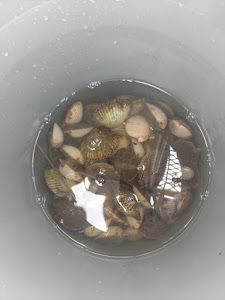 Fishing adventure at Crystal River
