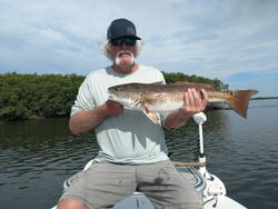 Fisherman with a big catch in Crystal River