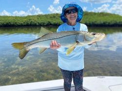 Snook fish caught in FL
