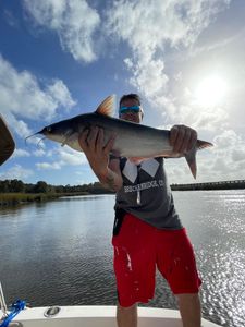 Reeling in Some Catfish Beauty in Charleston!