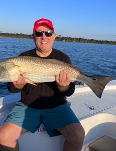 Nice Bull Red !