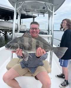 Nice Drum for this gentleman 