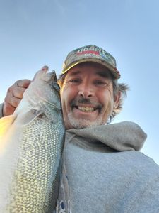 One fisherman angling in Minnesota