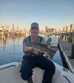 Inshore Catch of the Day! - Tautog