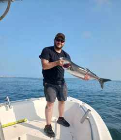 Bluefish Fishing Narragansett Bay