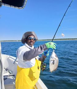 Hooked Up in Narragansett Waters