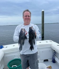 Rods Ready – Let’s Catch Sea Bass