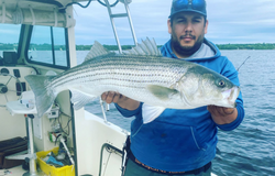 Striped bass caught while fishing in RI