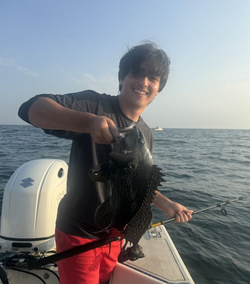 Photograph of a sea bass fish caught in RI while fishing