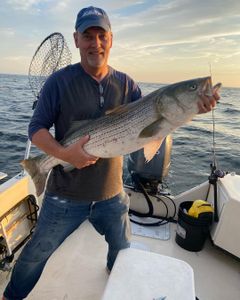Striped bass caught while fishing in RI
