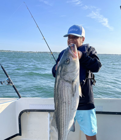 Striped bass caught in Narragansett