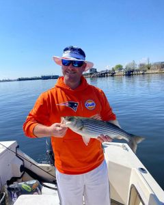 Striped bass caught while fishing in Narragansett