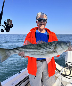 Striped bass caught in RI
