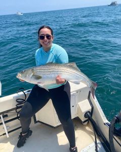 Striped bass caught while fishing in RI