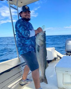Striped bass caught while fishing in RI
