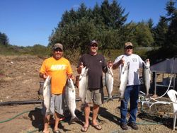 Fishing in Portland, Oregon with 5 rainbow trout and chum salmon caught