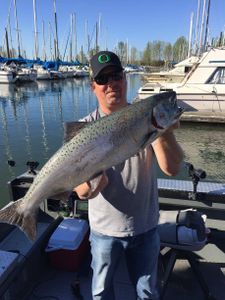 Chinook salmon caught while fishing in Portland