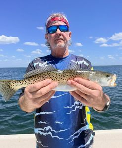 Spotted seatrout catch, inshore fishing action