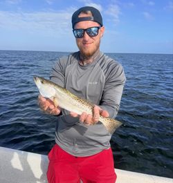 Fresh spotted seatrout, saltwater fishing catch