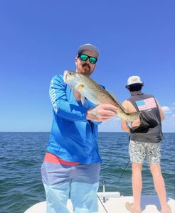 Quality spotted seatrout, saltwater fishing action
