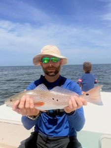 Slot redfish catch, inshore fishing action