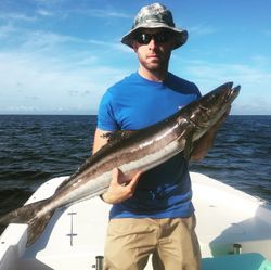 Cobia fishing in FL