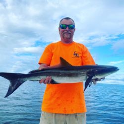 Cobia fish caught while fishing in FL