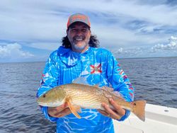 Steinhatchee Shark Fishing