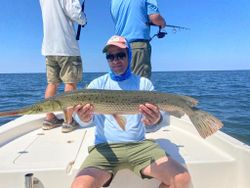 Longnose gar, a large freshwater fish, caught in Steinhatchee, Florida