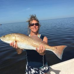 Redfish catch in Florida