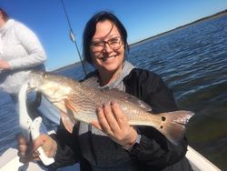 Redfish caught in Steinhatchee, Florida