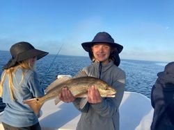 Redfish caught while fishing in Steinhatchee