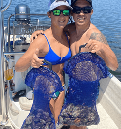 Steinhatchee Scalloping