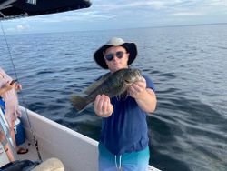 Photograph of a single sea bass caught while fishing in Steinhatchee.