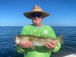 Spotted Weakfish, 19-inch fish caught while fishing in FL