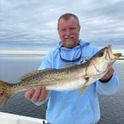 A spotted weakfish measuring 24 inches caught while fishing in FL.