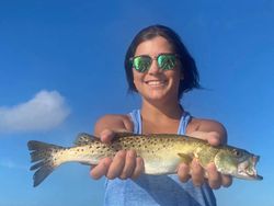 Spotted Weakfish, 22 inches, caught while fishing in Steinhatchee