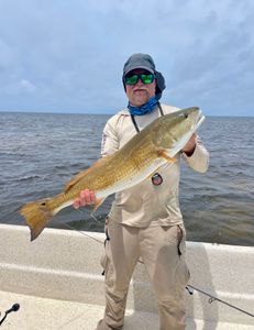 Anglers fishing in Steinhatchee, catching a 27-inch fish