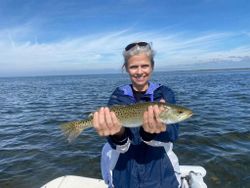 A fisherman holding a 16-inch fish in FL
