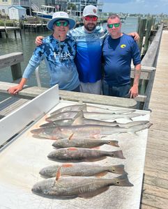 A group of redfish, sandbar shark, and redfish caught in Atlantic Beach