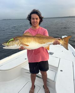 Redfish caught in Atlantic Beach