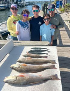 Five redfish caught at Atlantic Beach