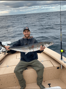 Spotted Weakfish caught in Atlantic Beach