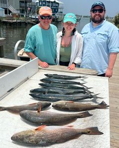 Three Redfish caught in Atlantic Beach, fishing