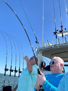 Epic catch of the day on the beautiful Lake Erie