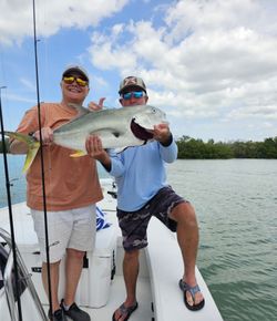 Crevalle Jack fish caught while fishing in FL