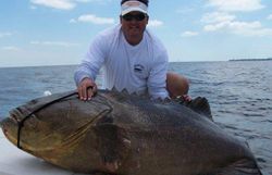 One person fishing in Naples, Florida