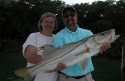 Snook fish caught while fishing in Naples, Florida