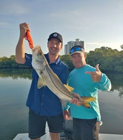 A Snook fish caught while fishing in FL